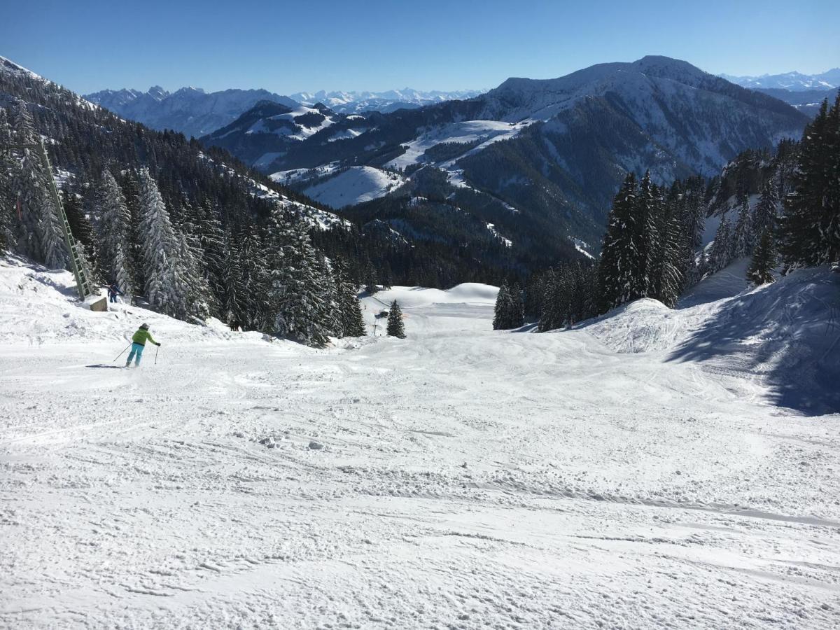 Landhaus Renata - Wendelstein Bayrischzell Bagian luar foto