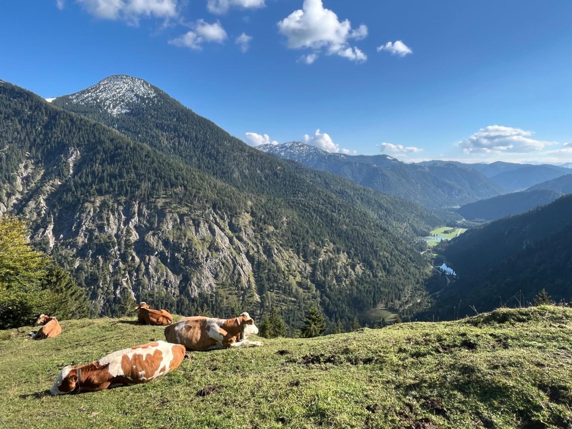 Landhaus Renata - Wendelstein Bayrischzell Bagian luar foto